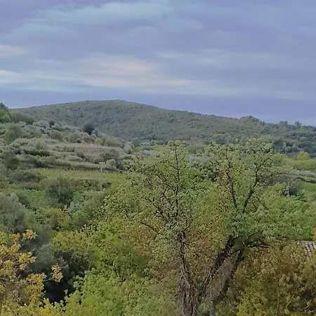 Cosy In Ancient With River And Vineyard Views Apartmán *