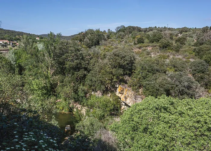 Cosy In Ancient With River And Vineyard Views شقة *