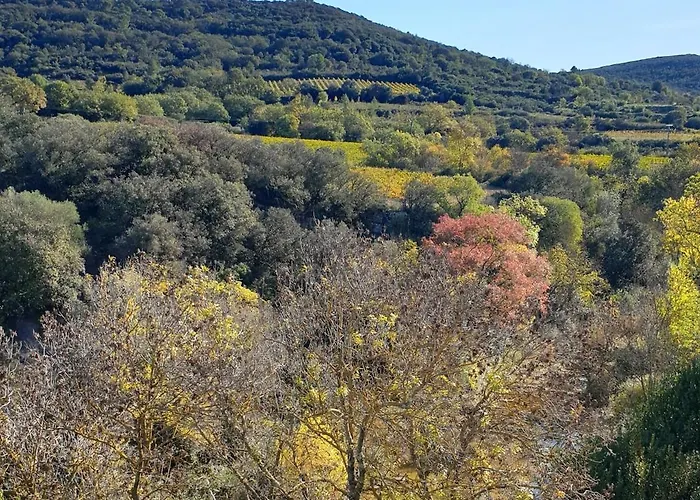 Cosy In Ancient With River And Vineyard Views شقة Gabian