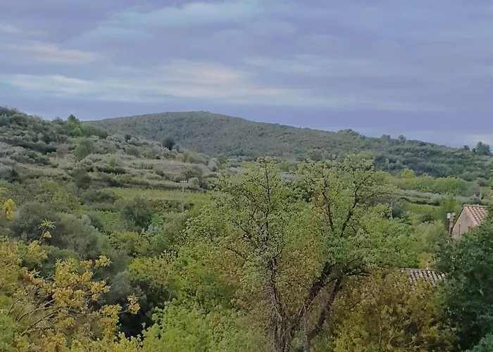 Cosy In Ancient With River And Vineyard Views شقة *