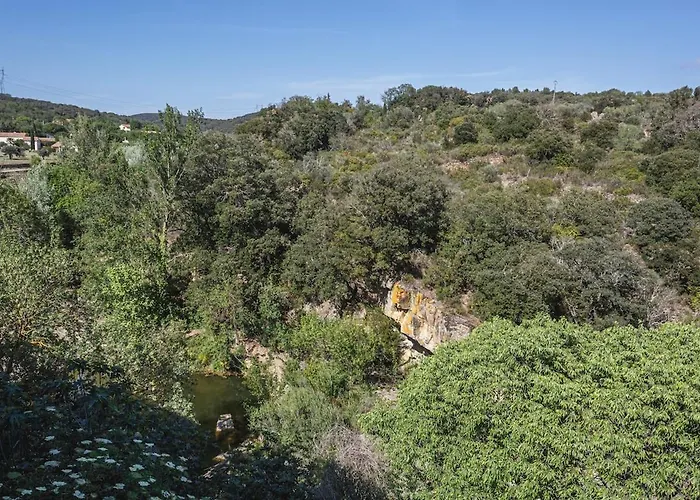 Cosy In Ancient With River And Vineyard Views شقة